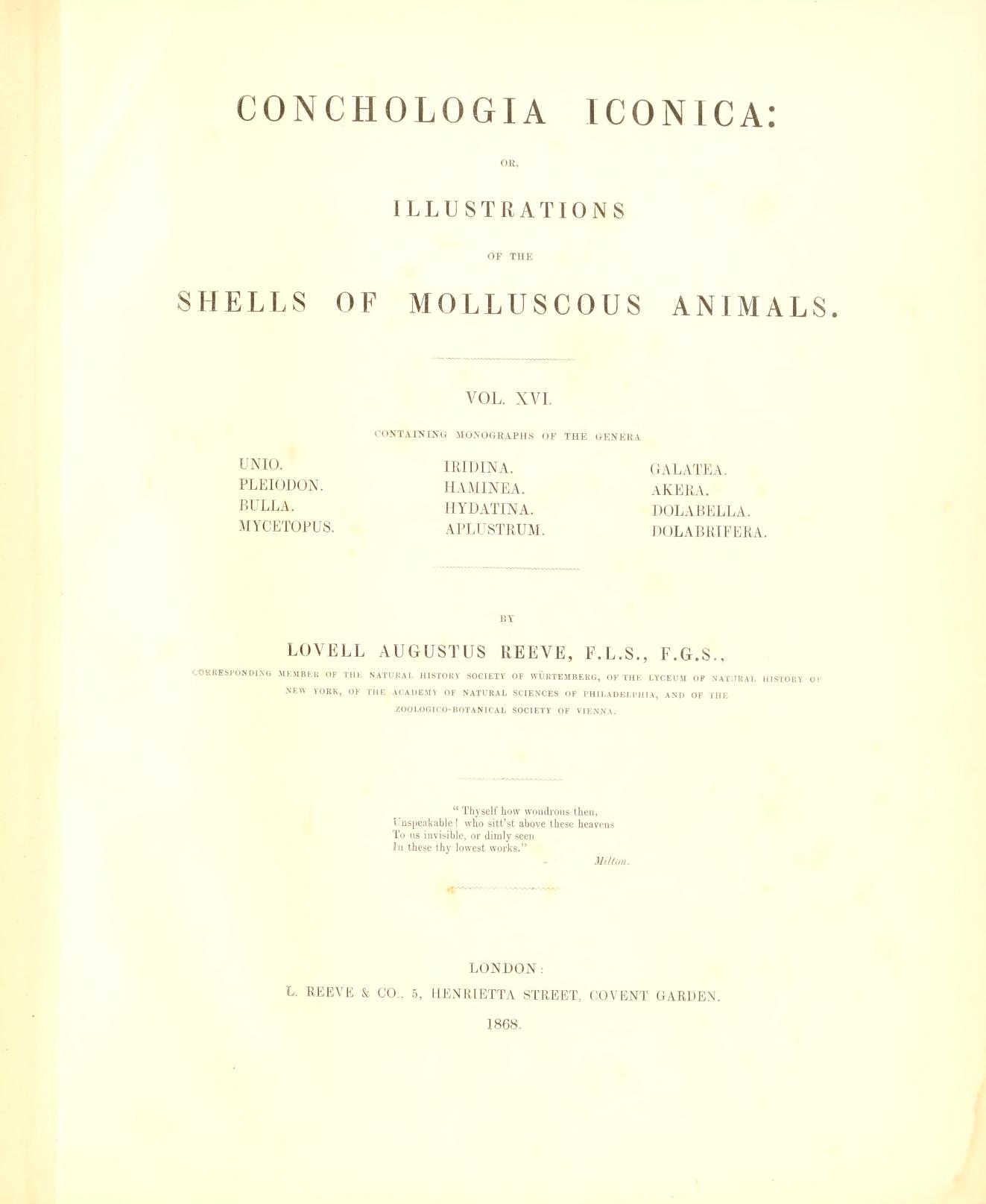 Media type: text; Reeve 1864 Description: Conchologia iconica, vol. XVI;
